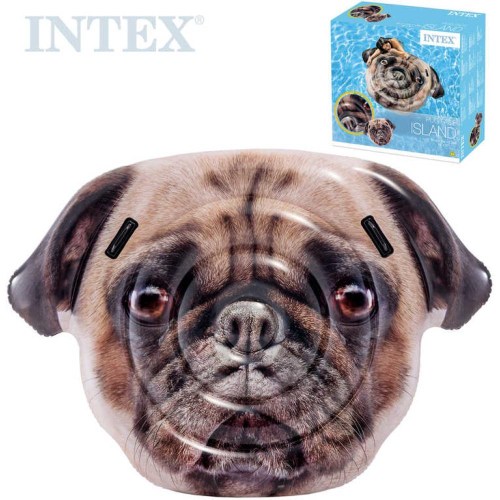 INTEX Křeslo nafukovací s opěradlem s úchyty do vody 3 barvy 56801